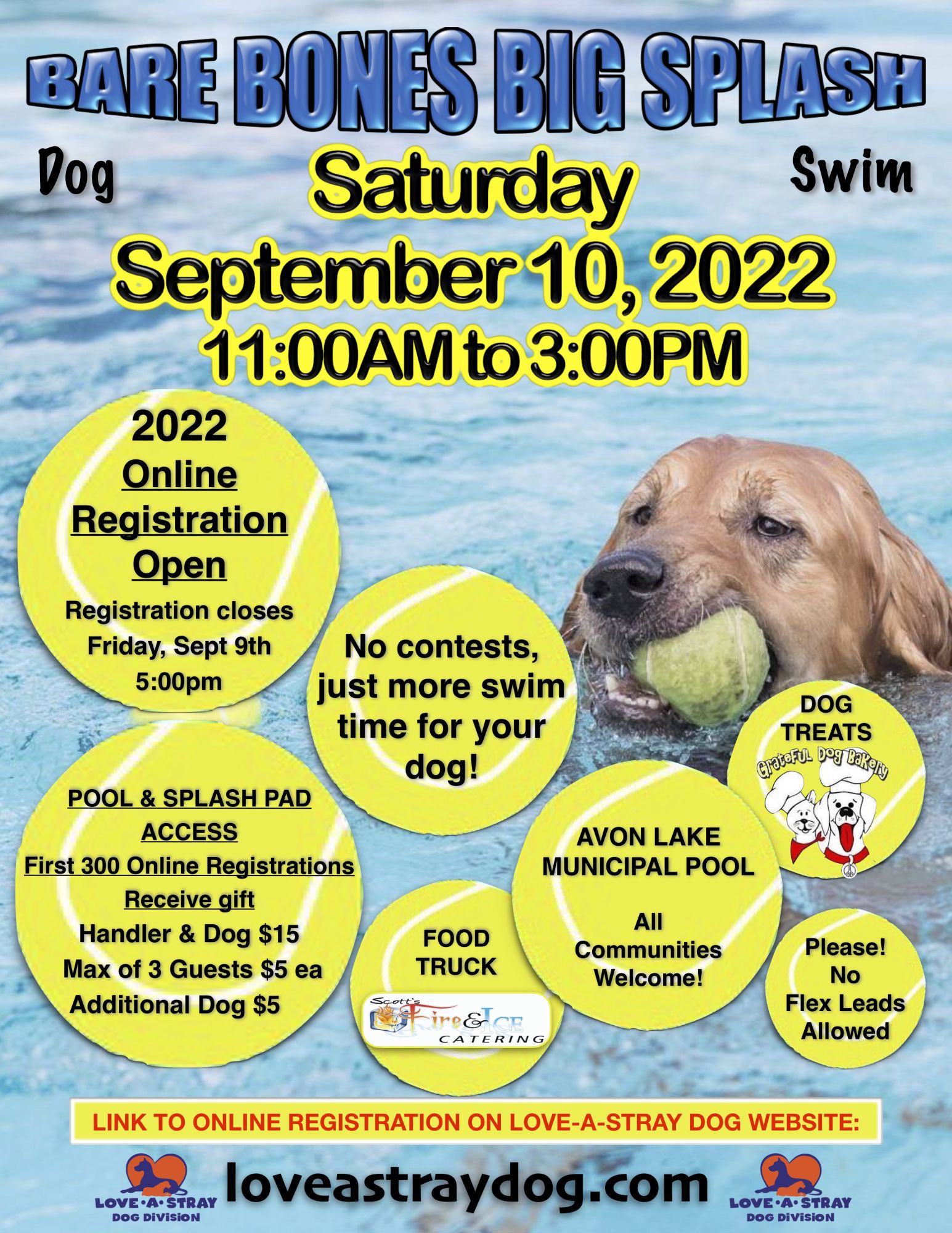 2022 Bare Bones Big Splash Love a Stray Dog Division